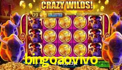 Experiência VIP bingoaovivo