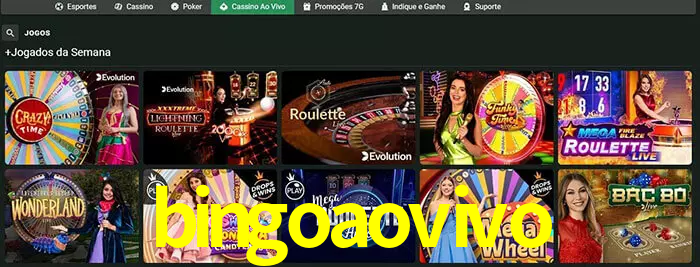 bingoaovivo bet