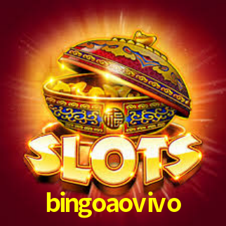 bingoaovivo net