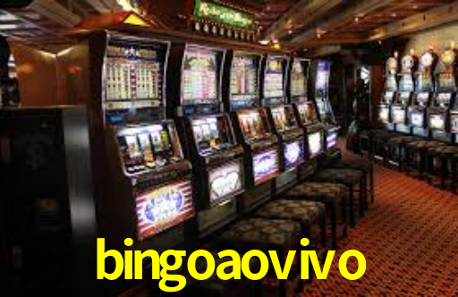 bingoaovivo,bingoaovivo net