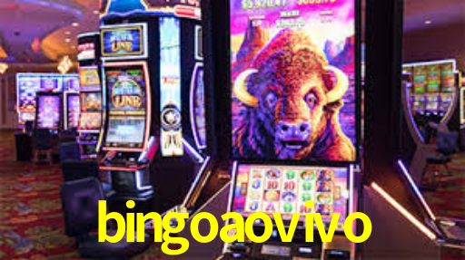 bingoaovivo,bingoaovivo net