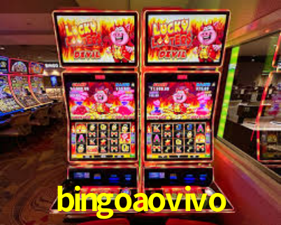 bingoaovivo,bingoaovivo net