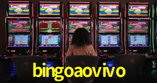 bingoaovivo net