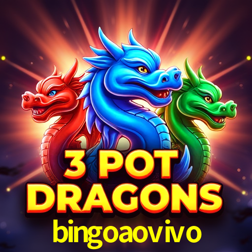 Sports Statistics bingoaovivo