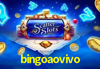 cassino bingoaovivo