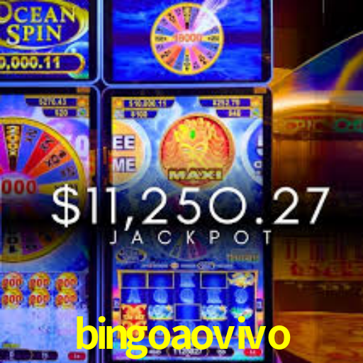 bingoaovivo net