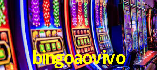 bingo ao vivo login