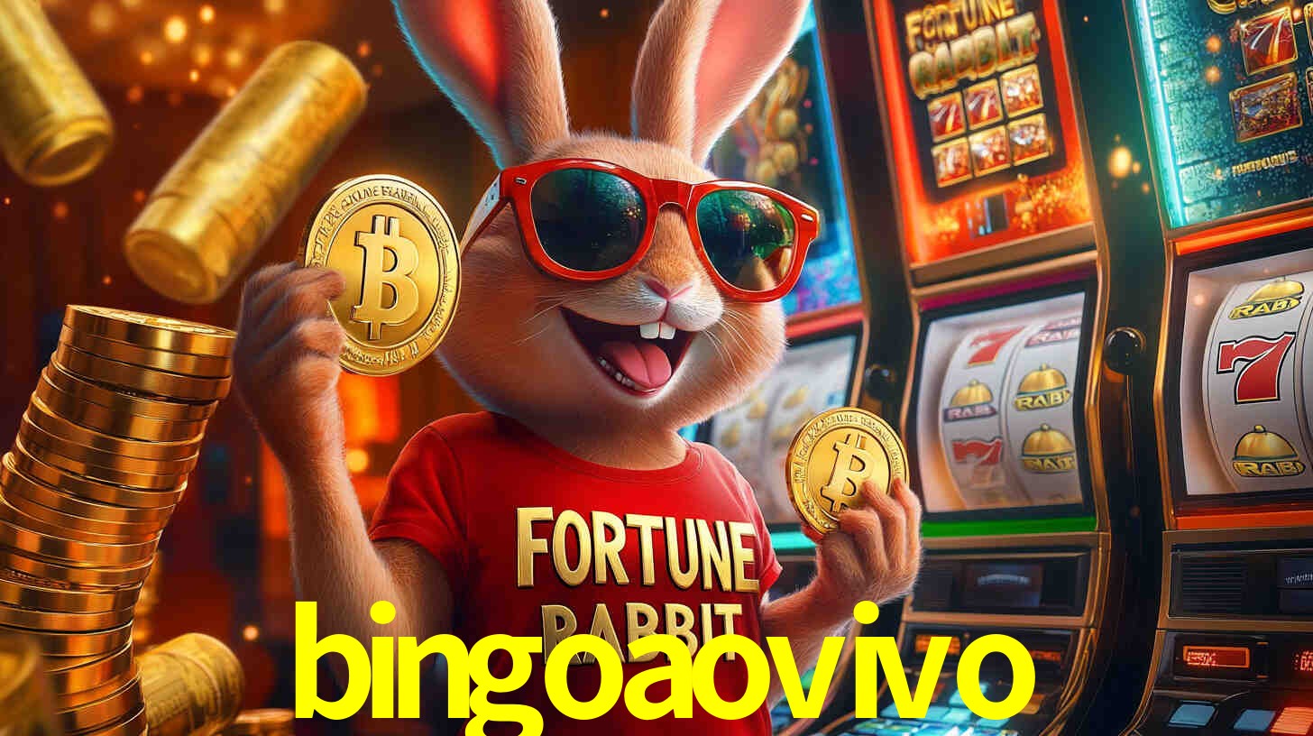 Recursos de Bônus bingoaovivo