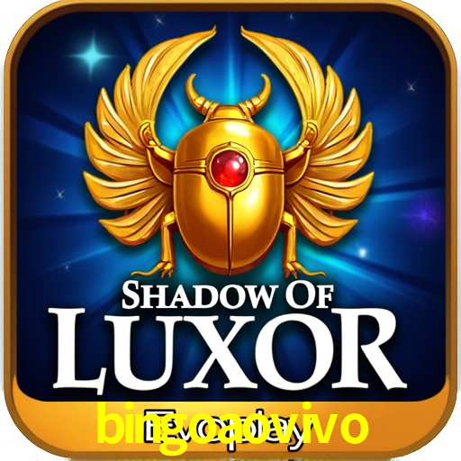 Descubra o Mundo do Cassino Online com bingoaovivo