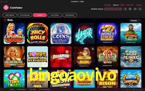 bingoaovivo,bingoaovivo net