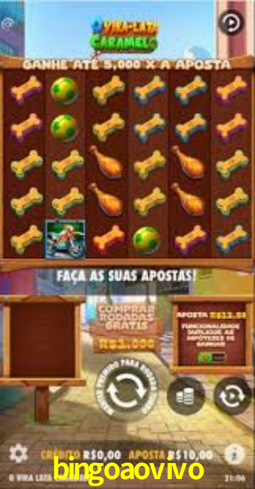 bingoaovivo,bingoaovivo net