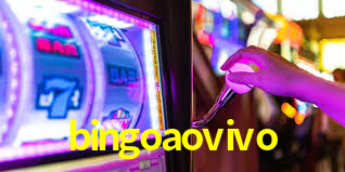 bingoaovivo App Interface